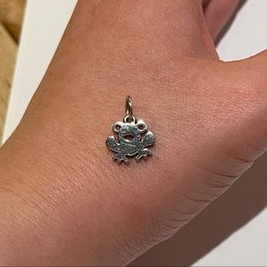 RARE Flat Frog silver charm